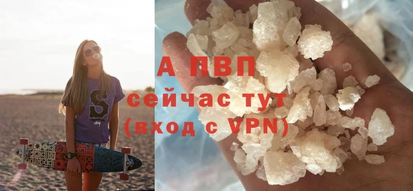 эйфоретик Бородино