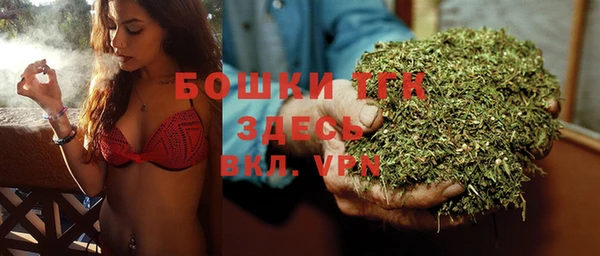 эйфоретик Бородино