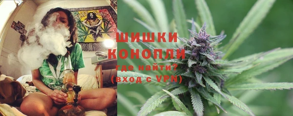 эйфоретик Бородино