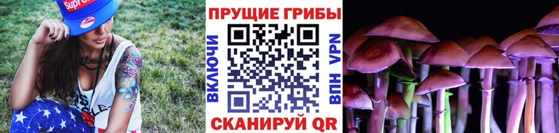 Галлюциногенные грибы MAGIC MUSHROOMS  Купить  Кодинск 